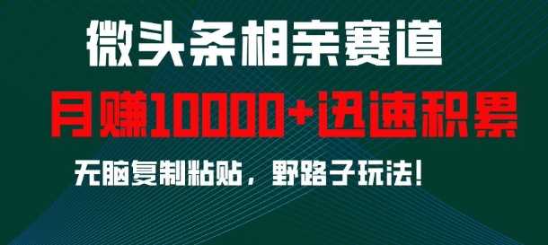 微头条相亲赛道，迅速积累，无脑复制粘贴，野路子玩法，月入1w-古龙岛网创