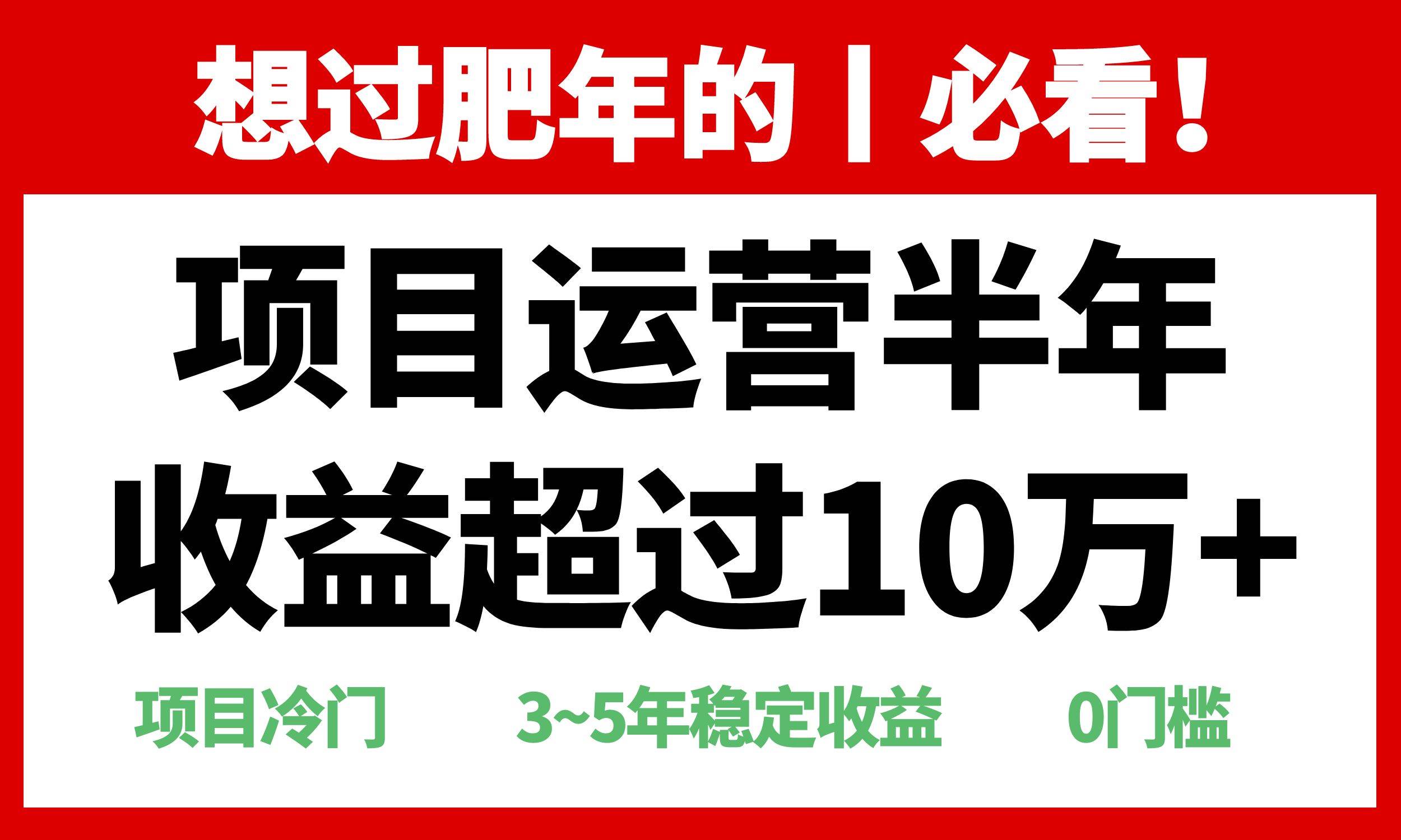（13663期）年前过肥年的必看的超冷门项目，半年收益超过10万+，-古龙岛网创