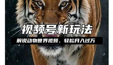 利用动物世界解说视频，赚分成计划收益，轻松月入过W，操作简单【揭秘】-古龙岛网创