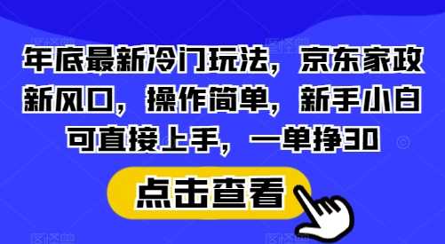 年底最新冷门玩法，京东家政新风口，操作简单，新手小白可直接上手，一单挣30【揭秘】-古龙岛网创