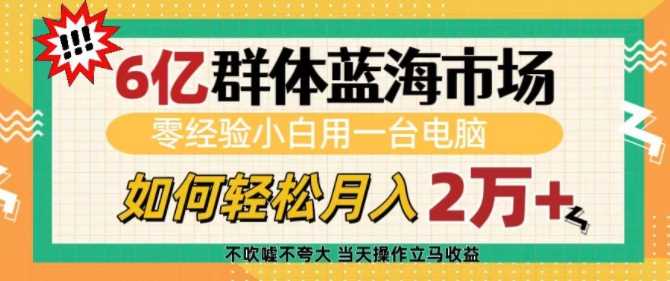 6亿群体蓝海市场，零经验小白用一台电脑，如何轻松月入过w【揭秘】-古龙岛网创