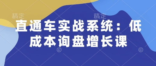 直通车实战系统：低成本询盘增长课，让个人通过技能实现升职加薪，让企业低成本获客，订单源源不断-古龙岛网创