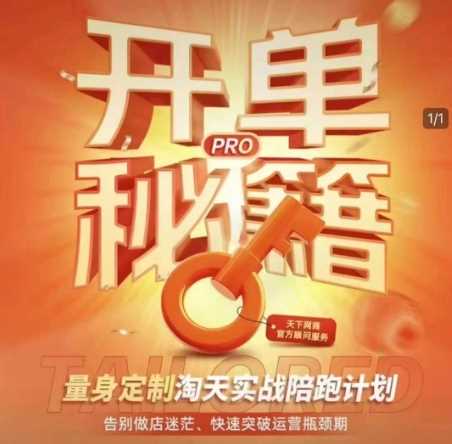 淘宝开单秘籍PRO，量身定制淘天实战陪跑计划，告别做店迷茫、快速突破运营瓶颈期-古龙岛网创