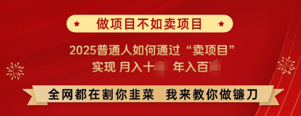 必看，做项目不如卖项目，2025普通人如何通过“卖项目”实现月入十个，年入百个-古龙岛网创