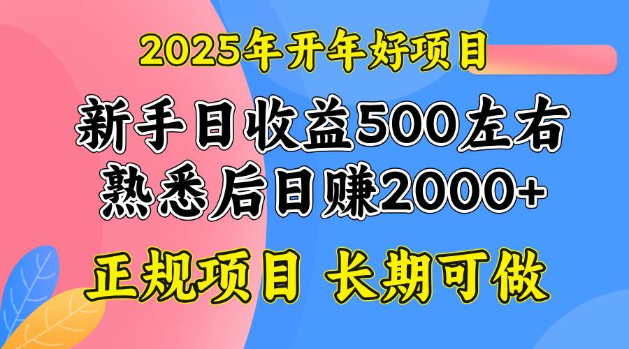 （14076期）2025开年好项目，单号日收益2000左右-古龙岛网创