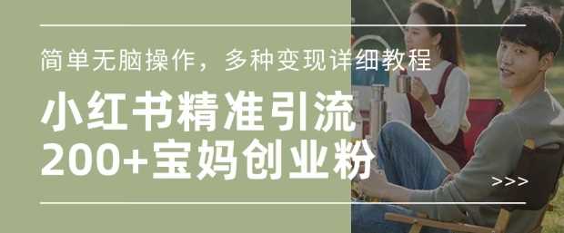 小红书混剪日引200+宝妈创业粉，简单无脑操作，多种变现详细教程-古龙岛网创