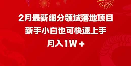 2月最新细分领域落地项目，新手小白也可快速上手，月入1W-古龙岛网创