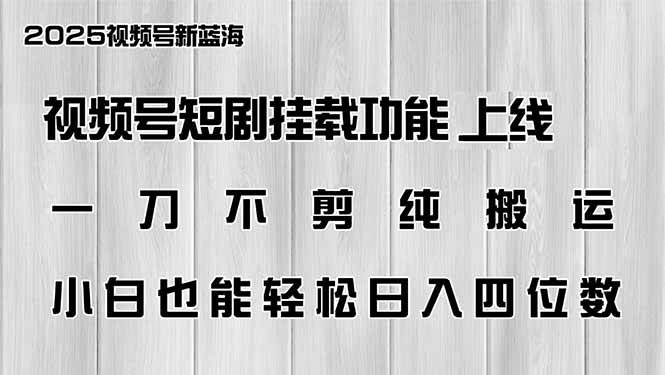 （14310期）视频号短剧挂载功能上线，一刀不剪纯搬运，小白也能轻松日入四位数-古龙岛网创
