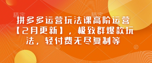 拼多多运营玩法课高阶运营【2月更新】，极致群爆款玩法，轻付费无尽复制等-古龙岛网创