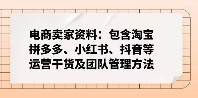 （14354期）电商卖家资料：包含淘宝、拼多多、小红书、抖音等运营干货及团队管理方法-古龙岛网创