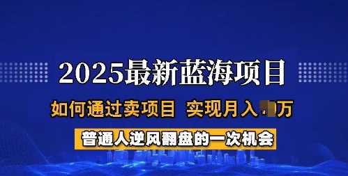 2025蓝海项目，普通人如何通过卖项目，实现月入过W，全过程【揭秘】-古龙岛网创