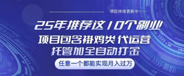 25年推荐这10个副业项目包含褂鸡类、代运营托管类、全自动打金类【揭秘】-古龙岛网创
