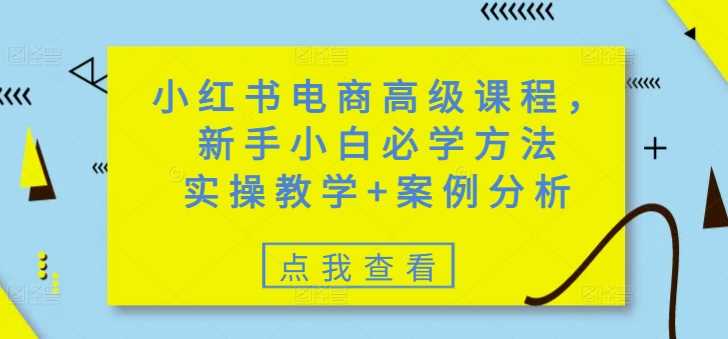 小红书电商高级课程，新手小白必学方法，实操教学+案例分析-古龙岛网创