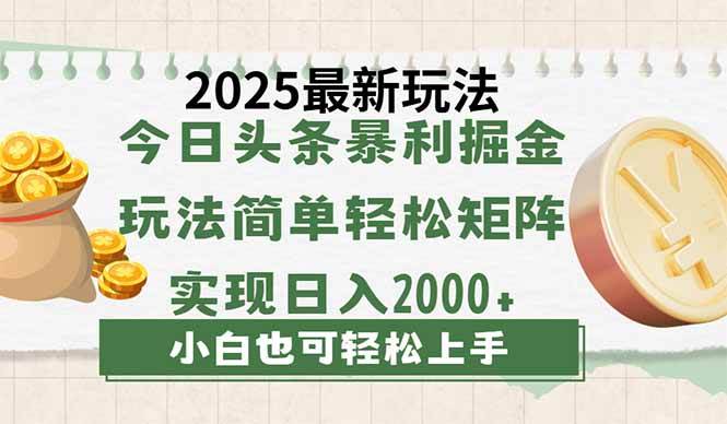 （14120期）今日头条2025最新玩法，思路简单，复制粘贴，轻松实现矩阵日入2000+-古龙岛网创