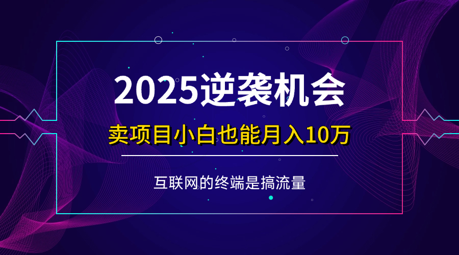 （14122期）项目标题：2025逆袭机会，卖项目小白也能轻松月入10万+-古龙岛网创