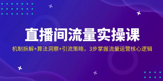 （14122期）直播间流量实操课：机制拆解+算法洞察+引流策略，3步掌握流量运营核心逻辑-古龙岛网创