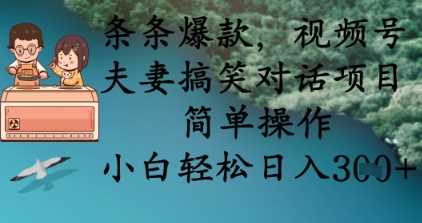 条条爆款，视频号夫妻搞笑对话项目，简单操作，小白轻松日入3张+-古龙岛网创