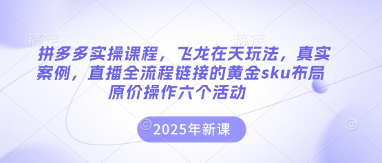 拼多多实操课程，飞龙在天玩法，真实案例，直播全流程链接的黄金sku布局原价操作六个活动-古龙岛网创