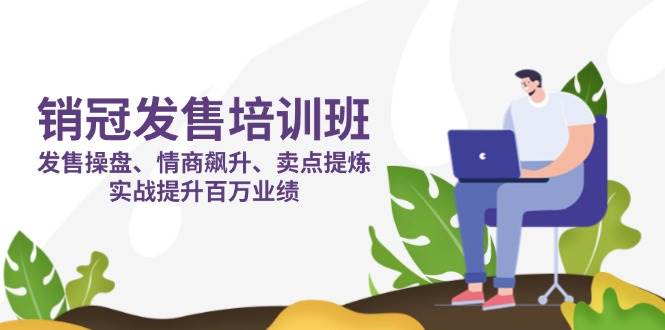 （14203期）销冠 发售培训班：发售 操盘+情商 飙升+卖点 提炼，实战提升百万业绩-古龙岛网创