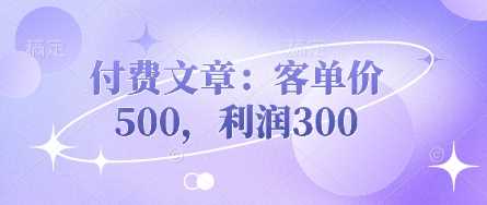 付费文章：客单价500，利润300-古龙岛网创