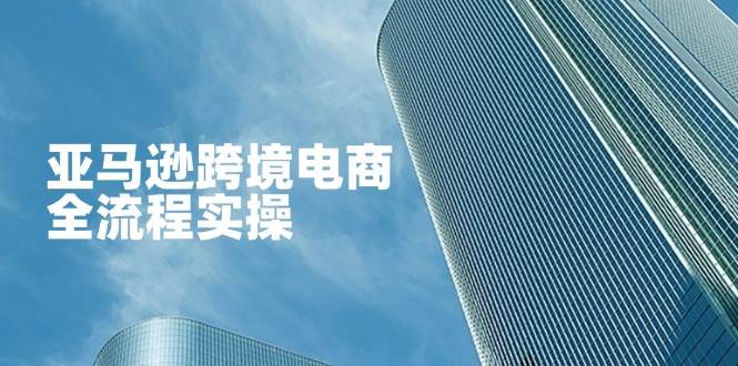 （14252期）亚马逊跨境电商全流程实操，教你从零开始，掌握店铺运营与广告技巧-古龙岛网创