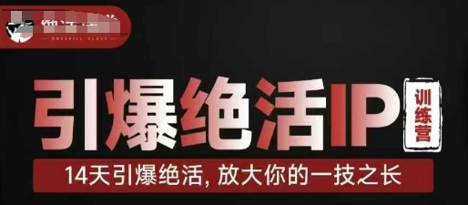 引爆绝活IP训练营，14天引爆绝活，放大你的一技之长-古龙岛网创