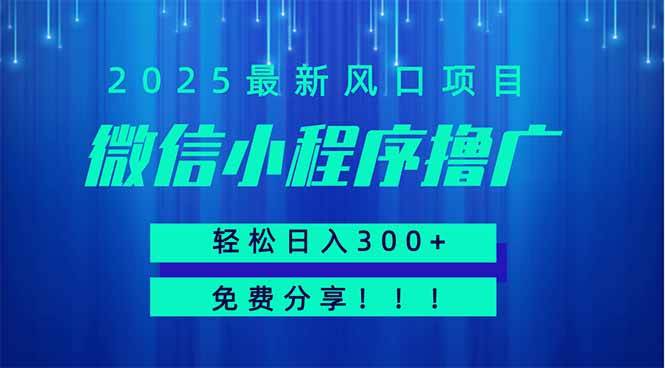 （14375期）微信小程序撸广，最新风口项目，日入300+ 免费分享 可批量操作 小白可…-古龙岛网创