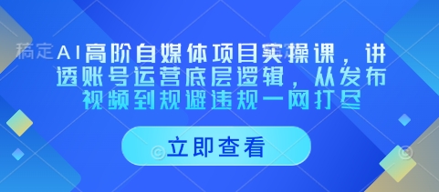 AI高阶自媒体项目实操课，讲透账号运营底层逻辑，从发布视频到规避违规一网打尽-古龙岛网创