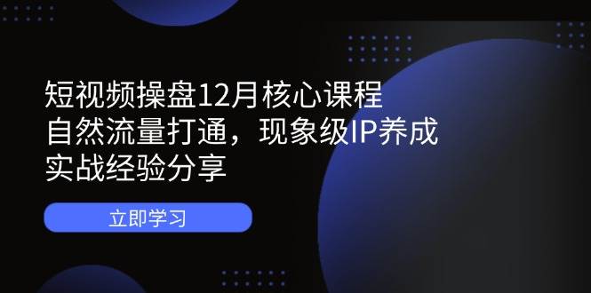 （14447期）短视频操盘12月核心课程：自然流量打通，现象级IP养成，实战经验分享-古龙岛网创