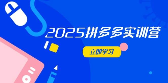 （14531期）2025拼多多实训营：深度剖析运营关键，助力电商人快速提升-古龙岛网创