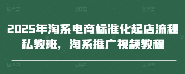 2025年淘系电商标准化起店流程私教班，淘系推广视频教程-古龙岛网创
