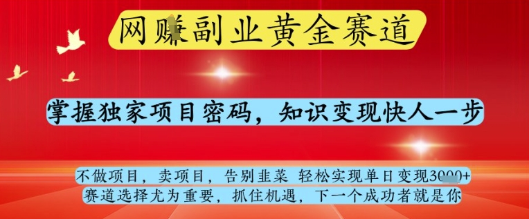 网创副业黄全赛道，掌握独家项目密码，知识变现快人一步，告别韭菜轻松实现单日变现1k+【揭秘】-古龙岛网创