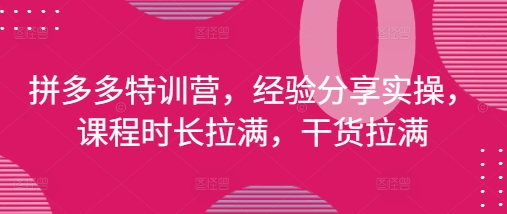 拼多多特训营，经验分享实操，课程时长拉满，干货拉满(更新25年4月)-古龙岛网创